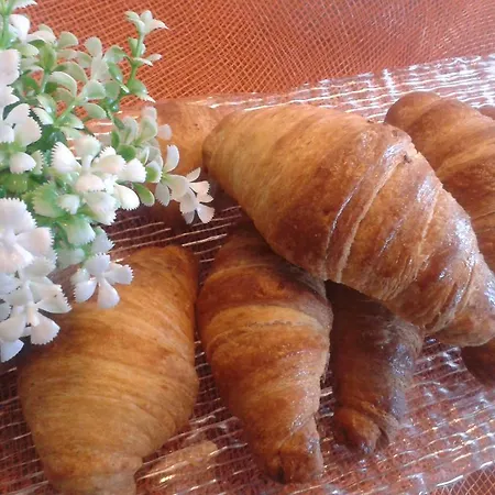 Piccadilly Montecatini Terme